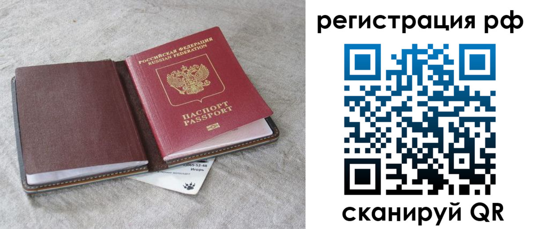 прописка законно в Борзе